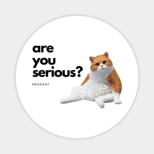 Cute cat Confused Magnet